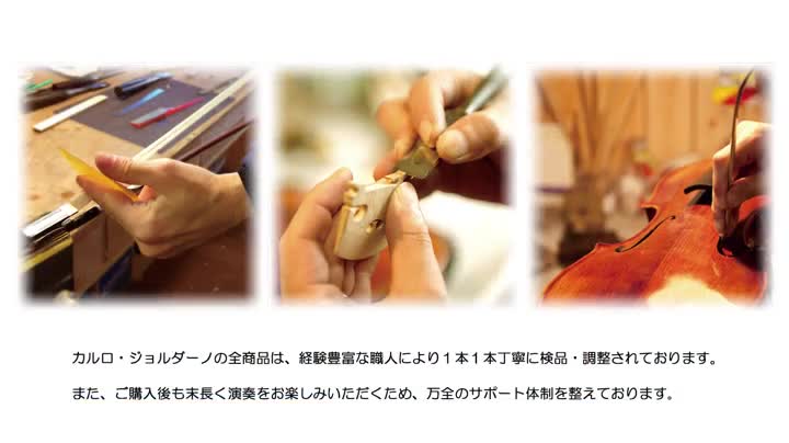 Amazon.co.jp: カルロジョルダーノ バイオリンセット ブラック VS-1 1