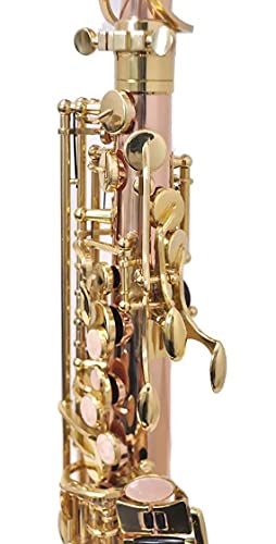 Amazon | PLAYTECH (プレイテック) アルトサックス ローズブラス