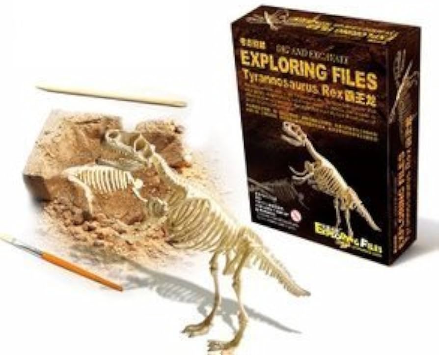 Amazon | 【気分は考古学者! 】ティラノ ザウルス 骨格 標本 化石 発掘