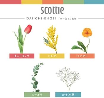 Amazon.co.jp: スコッティ フラワーボックス 長持ちティシュー 500枚