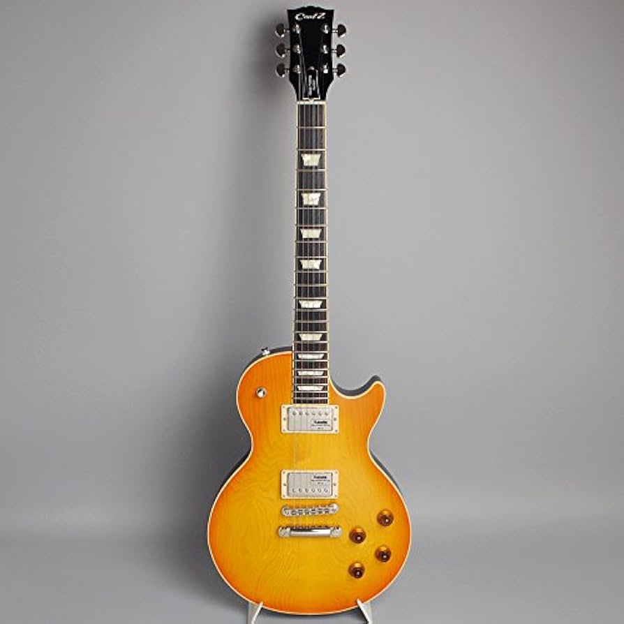 Fujigen Coolz ZLS-1 杢有りソリッドハードメイプル アルニコ 2026年