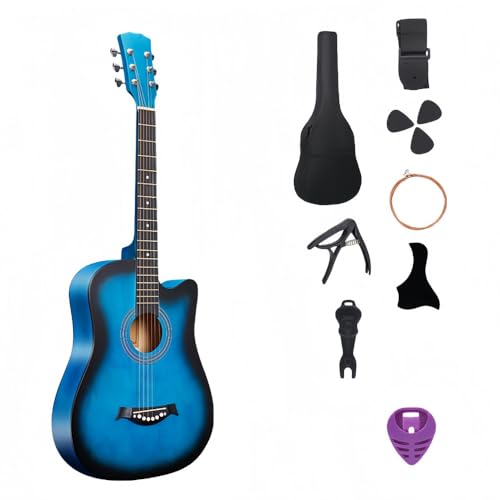 アコースティックギター 青」の人気商品一覧 | 安い商品を通販サイト
