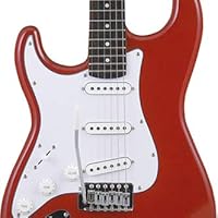 Amazon | SELDER セルダー エレキギター ストラトキャスタータイプ