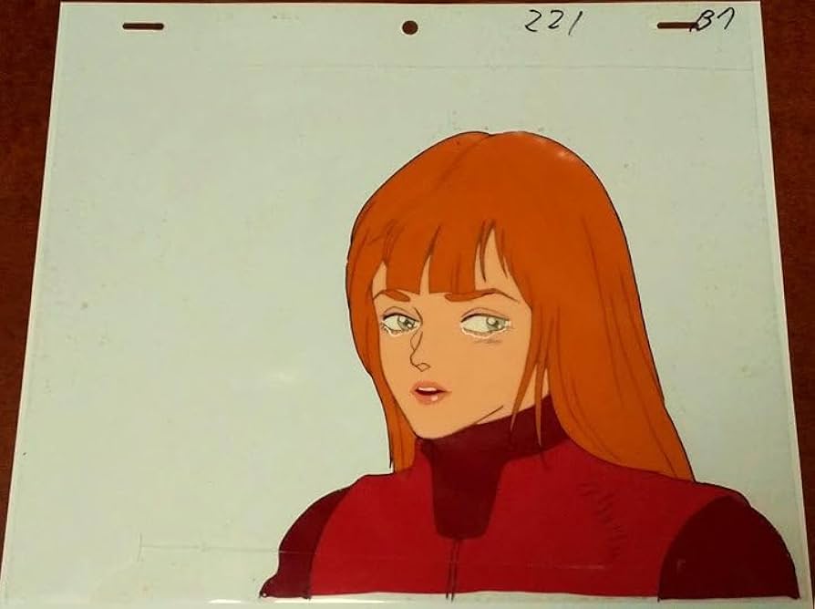 Amazon.co.jp: 聖戦士ダンバインマーベルセル画(難あり) : ホーム