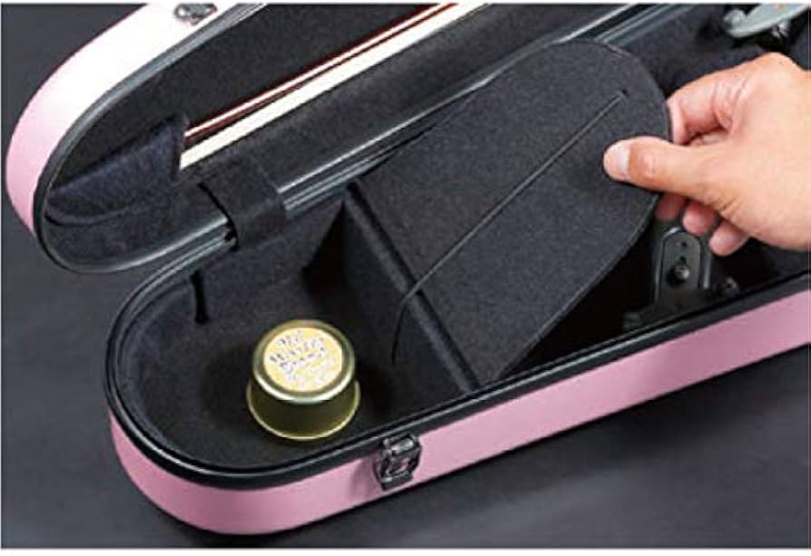 Amazon | Eastman バイオリンハードケース 4/4 スタンダード シルバー