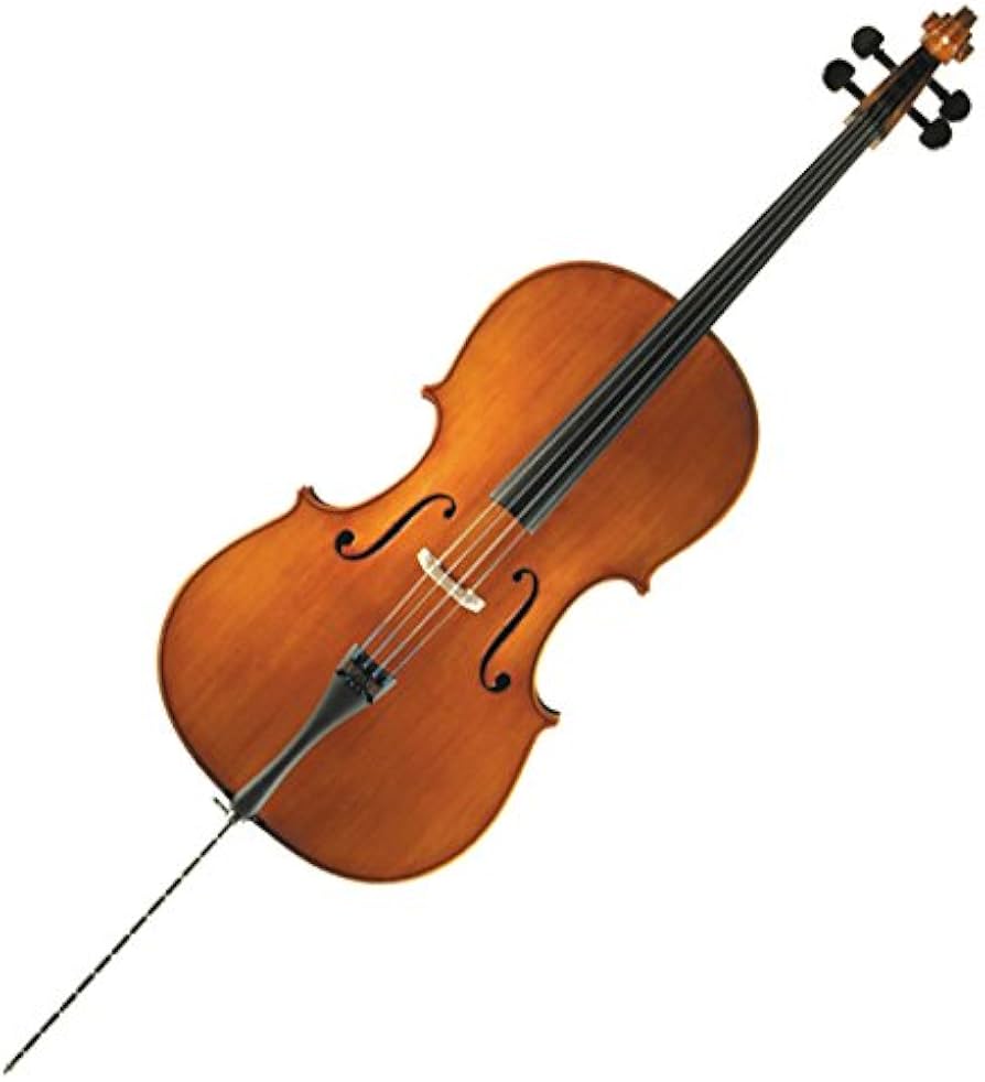 Amazon | SUZUKI No.72 4/4 チェロ (スズキ) | チェロ | 楽器・音響機器