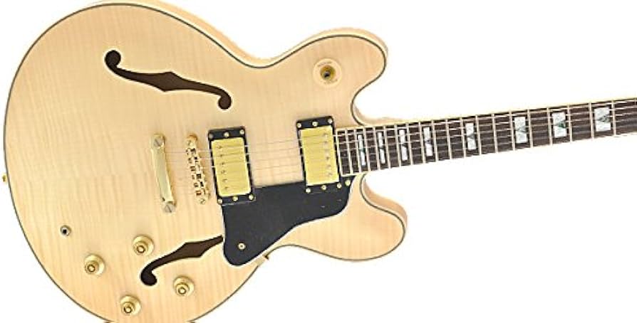 Amazon | 【国内正規品】 PLAYTECH プレイテック セミアコースティック