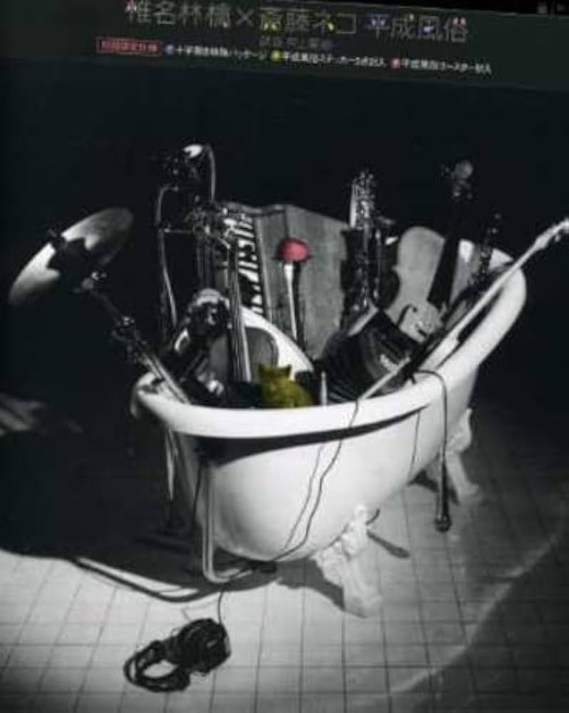 Amazon.co.jp: 平成風俗(初回限定盤) - 椎名林檎×斎藤ネコ: ミュージック