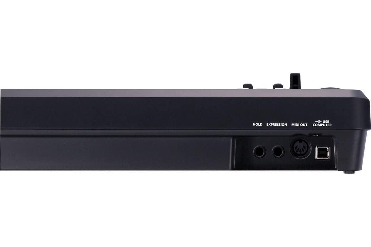 Amazon | Roland/A-49 BK [ダンパーペダル DP-10 + エクスプレッション