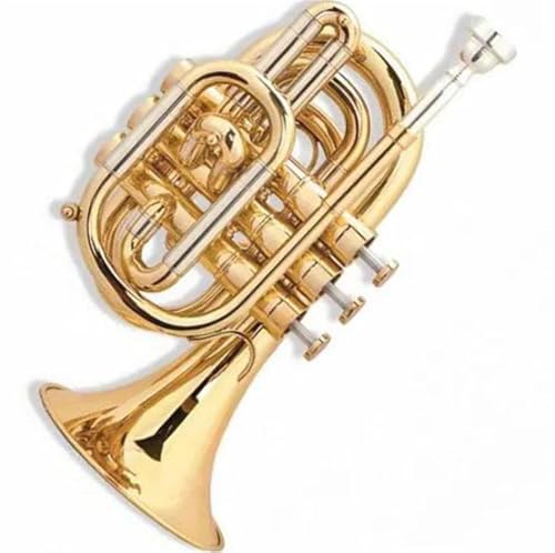 ポケットトランペット」の人気商品一覧 | 安い商品を通販サイトから