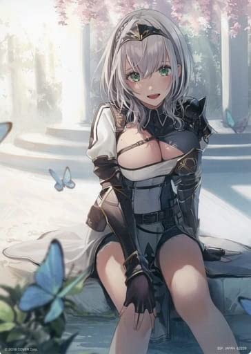 Amazon.co.jp: 一番くじ ホロライブ ラストワン賞 イラストボード 白銀