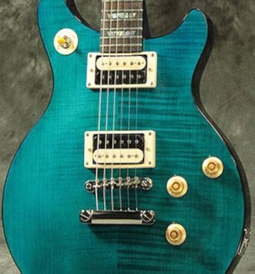 Amazon | Epiphone エピフォン エレキギター Limited Edition Tak