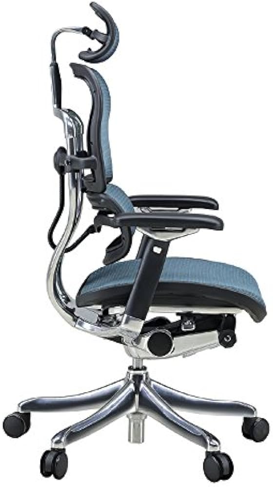 Amazon.co.jp: メーカー組立完成品 エルゴヒューマン プロ オフィス