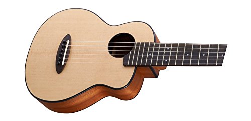 Amazon | aNueNue （ アヌエヌエ ） aNN-S10 Feather Bird ナイロン弦