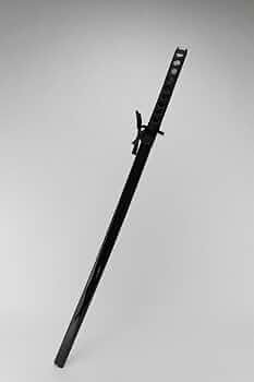 41p+2SiUTJL._AC_UF350,