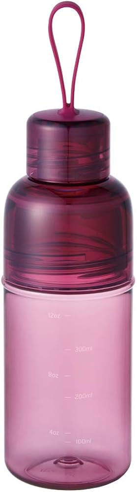 Amazon.com: KINTO 20312 Workout Bottle, 16.9 fl oz (480 ml