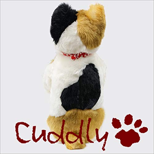 Amazon.co.jp: ＜Cuddly＞カドリー こだわりのぬいぐるみ 三毛猫の