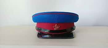 41syim+ogzL._AC_UF350,