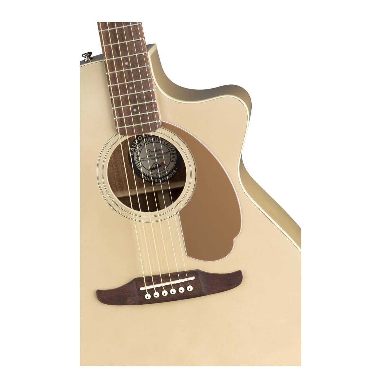 Amazon.co.jp: Fender Acoustic Guitar : Musical Instruments