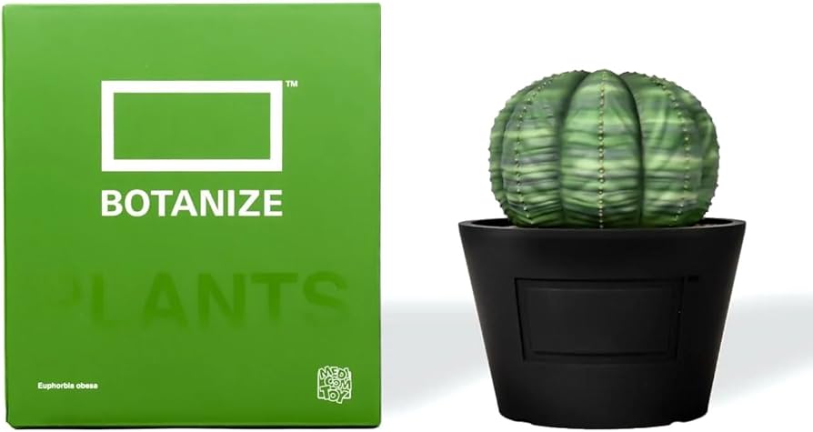 Amazon.co.jp: MEDICOM TOY × BOTANIZE VCD Euphorbia obesa var