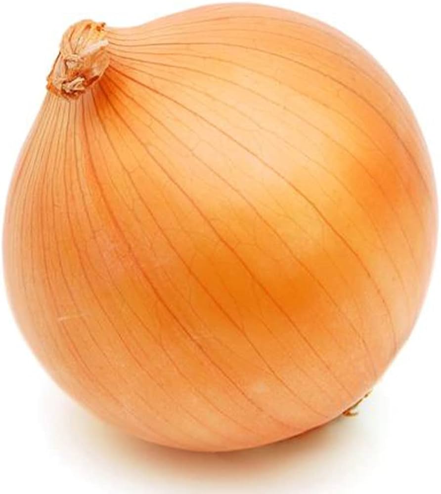 Amazon.co.jp: 玉ねぎ抜き苗 品種：OP黄(中生) 約50本(50本×1束)【品種