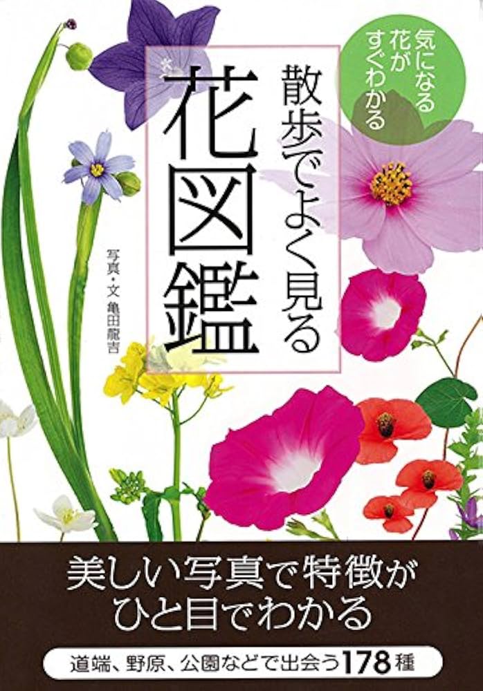 Amazon.co.jp: 散歩でよく見る花図鑑 : 亀田 龍吉: 本