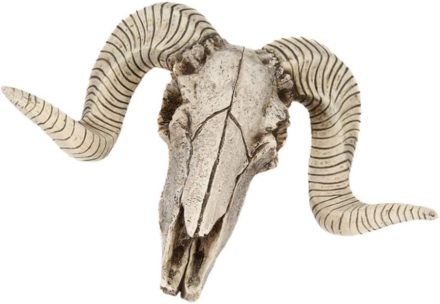 Amazon.co.jp: Perfeclan アニマルヘッド 壁飾り 羊の頭蓋骨模型 動物