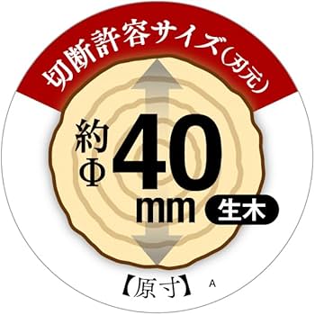 514z8u2BrpL._AC_UF350,