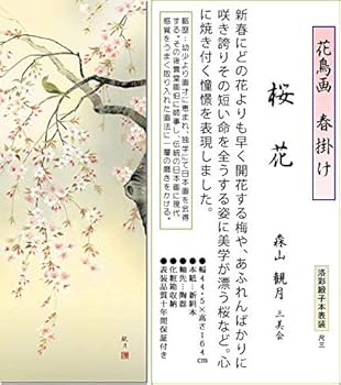 Amazon | 掛け軸 春 桜花・森山観月 尺三 掛軸 桜 床の間 | 絵画生活