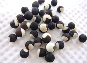 Amazon.co.jp: フウセンカズラの種200粒 ふうせんかずら 緑のカーテン