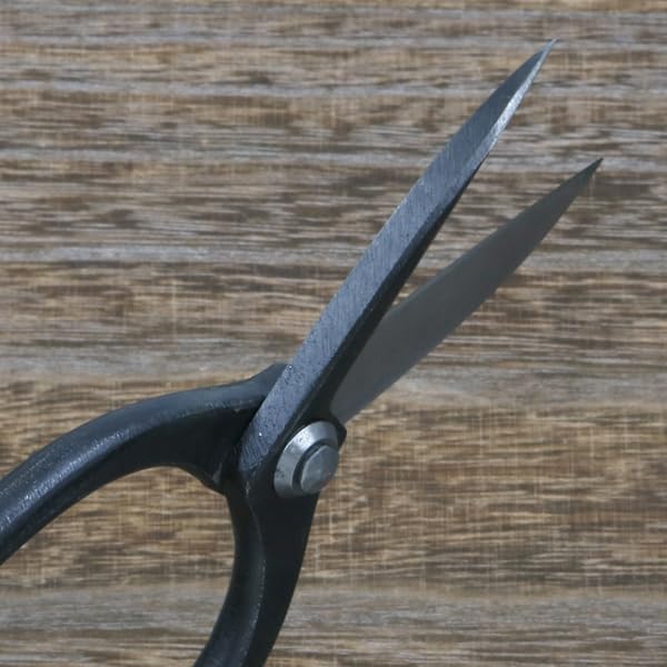 Amazon | 佐保 植木用 切箸 白紙鋼 8寸 (植木鋏 きりばし) | 園芸用はさみ