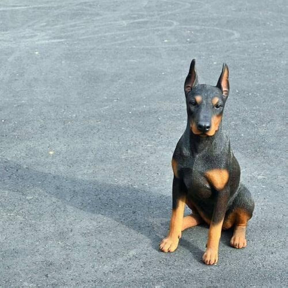 Amazon.co.jp: オーナメント置物黒ドーベルマン置物オブジェ犬いぬ 犬