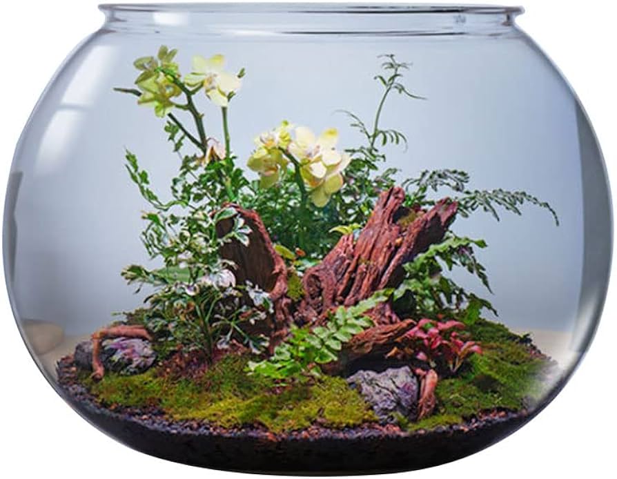 Amazon | SENKAR プラスチック 丸型金魚鉢 観葉植物 アクアリウム