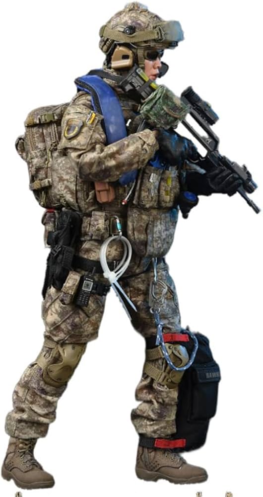 Amazon | [AC]Soldier Story 1/6 中国人民解放軍海兵隊 SS138通常版