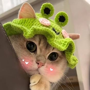Amazon.co.jp: 猫用帽子 コスプレ仮装 猫のヘアアクセサリー カエル