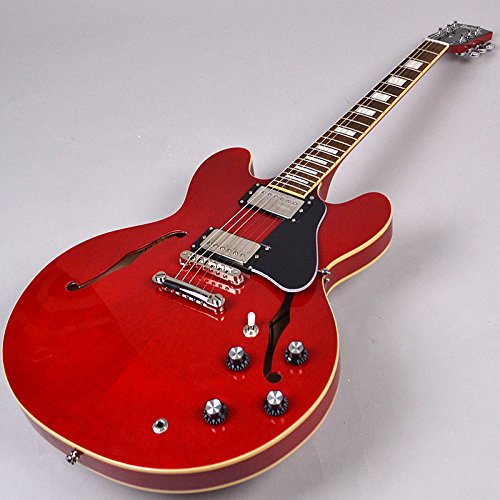 Amazon | Burny SRSA65 Cherry エレキギター初心者14点セット