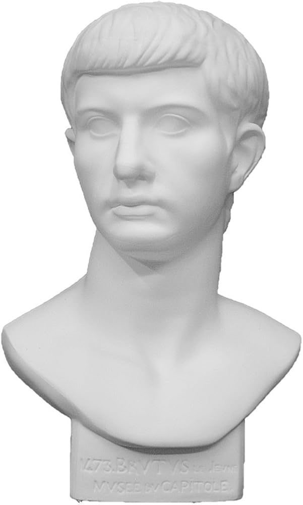 Amazon.co.jp: 石膏像 K－165 青年ブルータス胸像 H．53cm