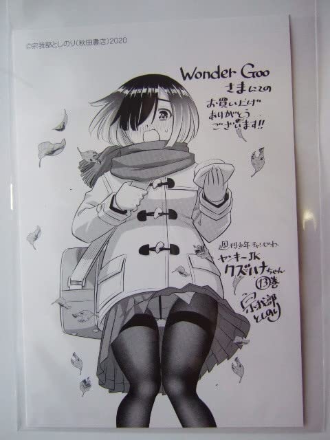 Amazon.co.jp: ワンダーグー 限定 ヤンキーJKクズハナちゃん 13巻