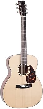 Amazon.com: Recording King RO-G6 Solid Top 000 Guitar : Musical