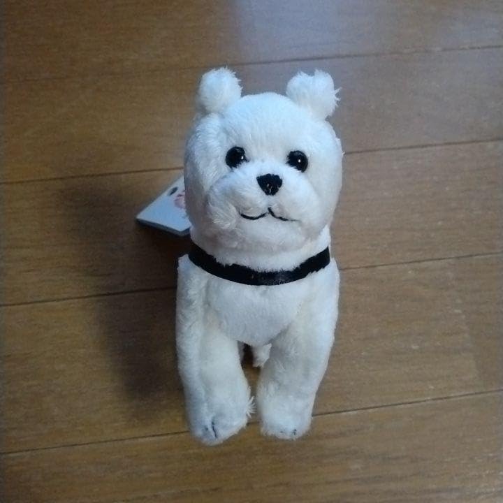 Amazon.co.jp: 国立科学博物館 忠犬ハチ公 マスコット ぬいぐるみ ハチ