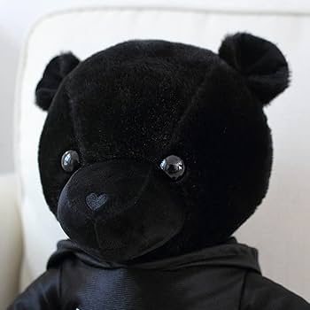 518pLc4dXiL._AC_UF350,