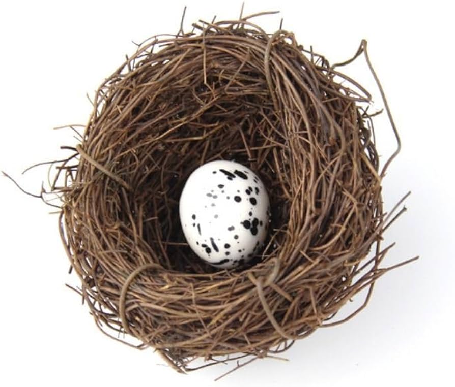 Artificial Bird Nest, Bird Nest with Artificial Bird Eggs, Country