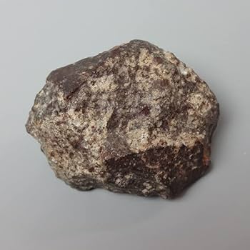 Amazon | SCIENCE 実物隕石標本「石質隕石 NWA869（North West Africa