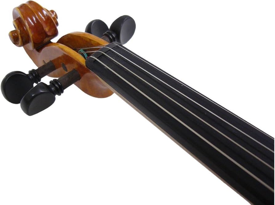 Amazon | 恵那バイオリン 4/4(大人サイズ) ケース付き3点セット