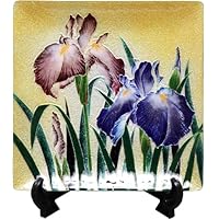 Amazon.co.jp: 七宝焼 飾皿 66 (紅白梅) : ホーム＆キッチン