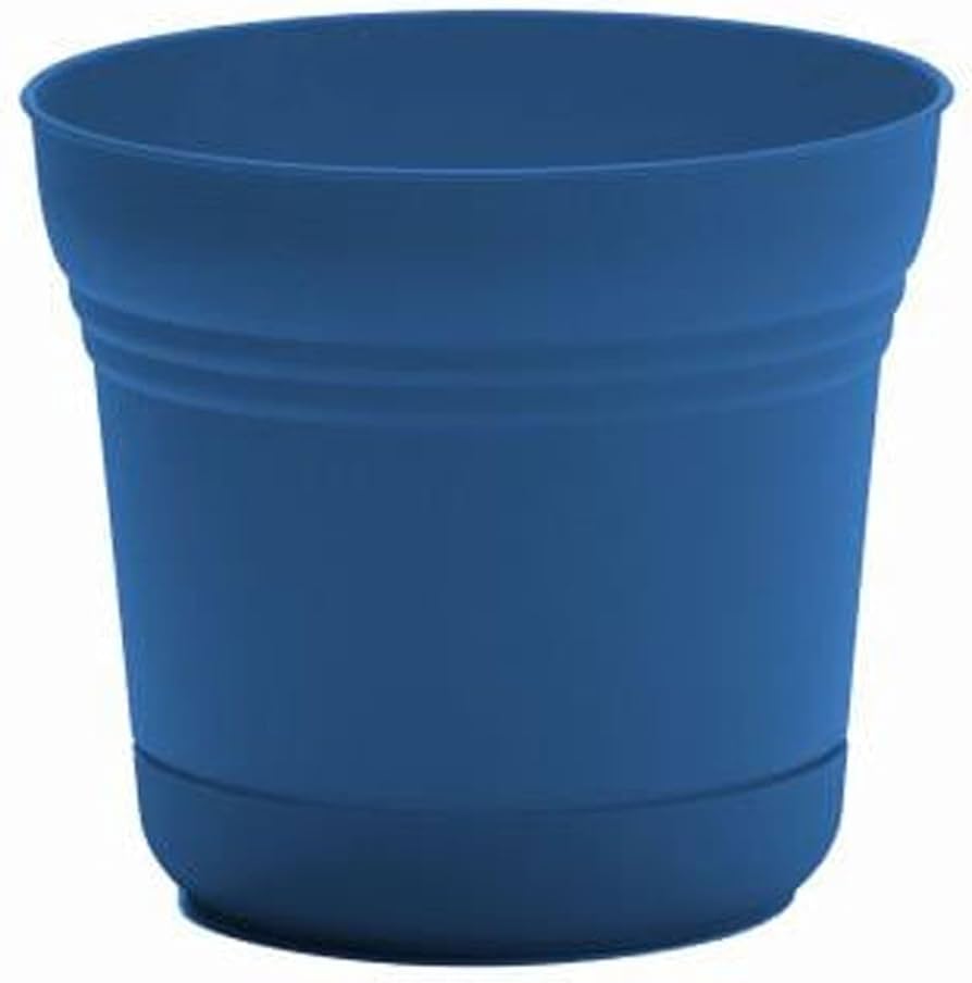 Amazon.com : Bloem Saturn 7