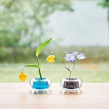 Amazon.com: Ash Concept (H Concept) +d Flower Base, Michikusa D