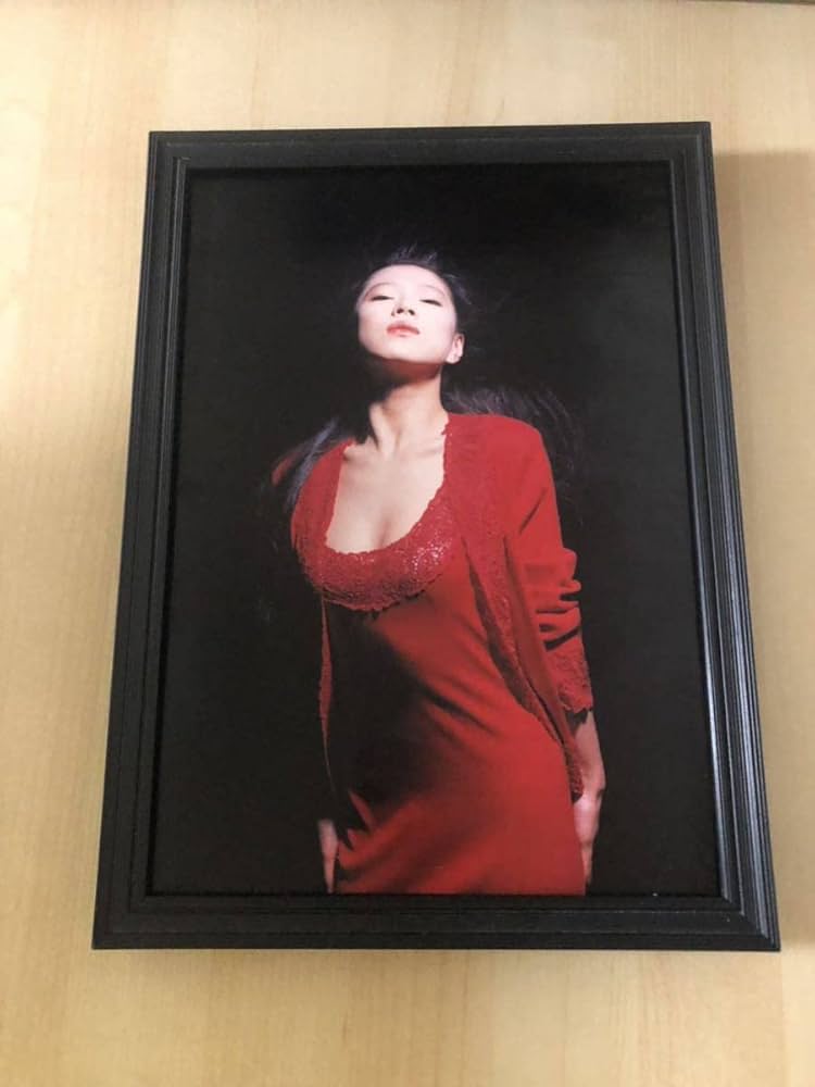 Amazon | 額装品 中森明菜 グラビア セクシー 美乳 貴重写真 A4サイズ