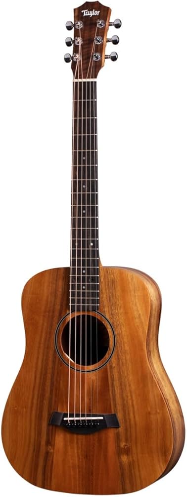Amazon | Taylor/Baby Taylor e-Koa ES-B (Bte-Koa) テイラー