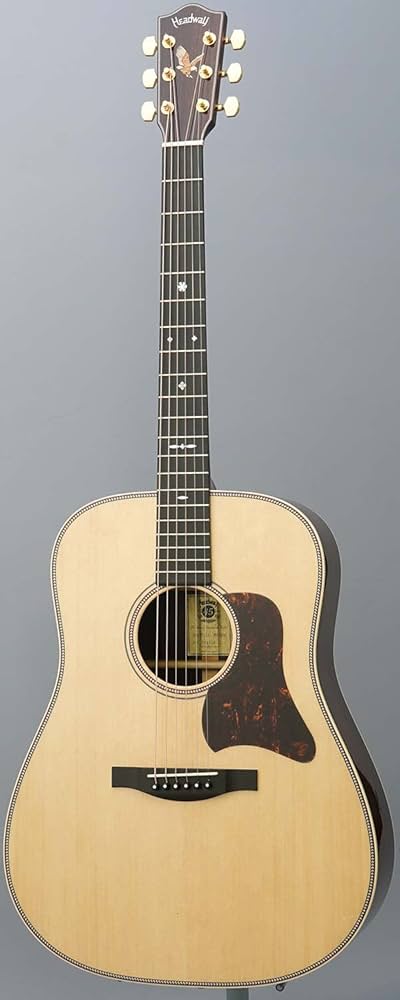 Amazon.co.jp: Headway HD-531 SF S/STD CN アコースティックギター